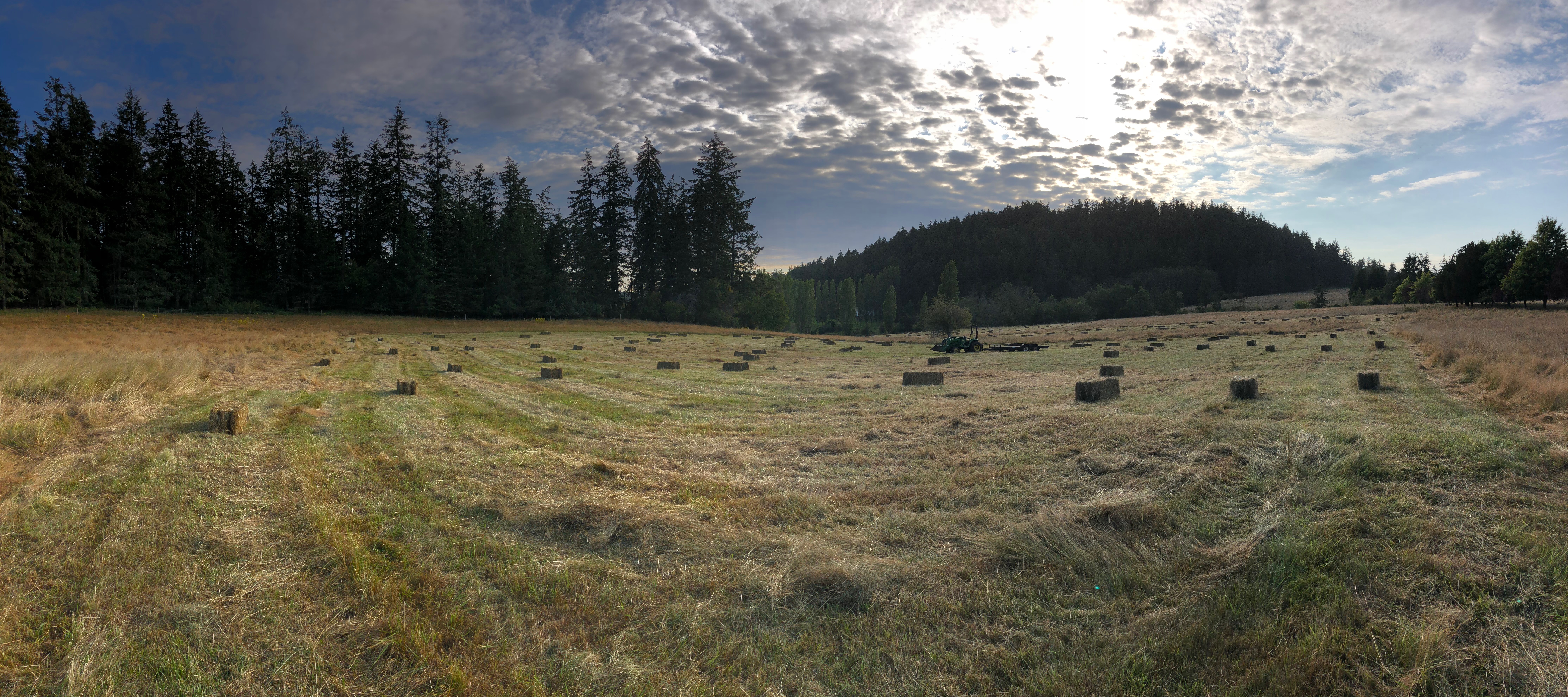 What is this land all about?