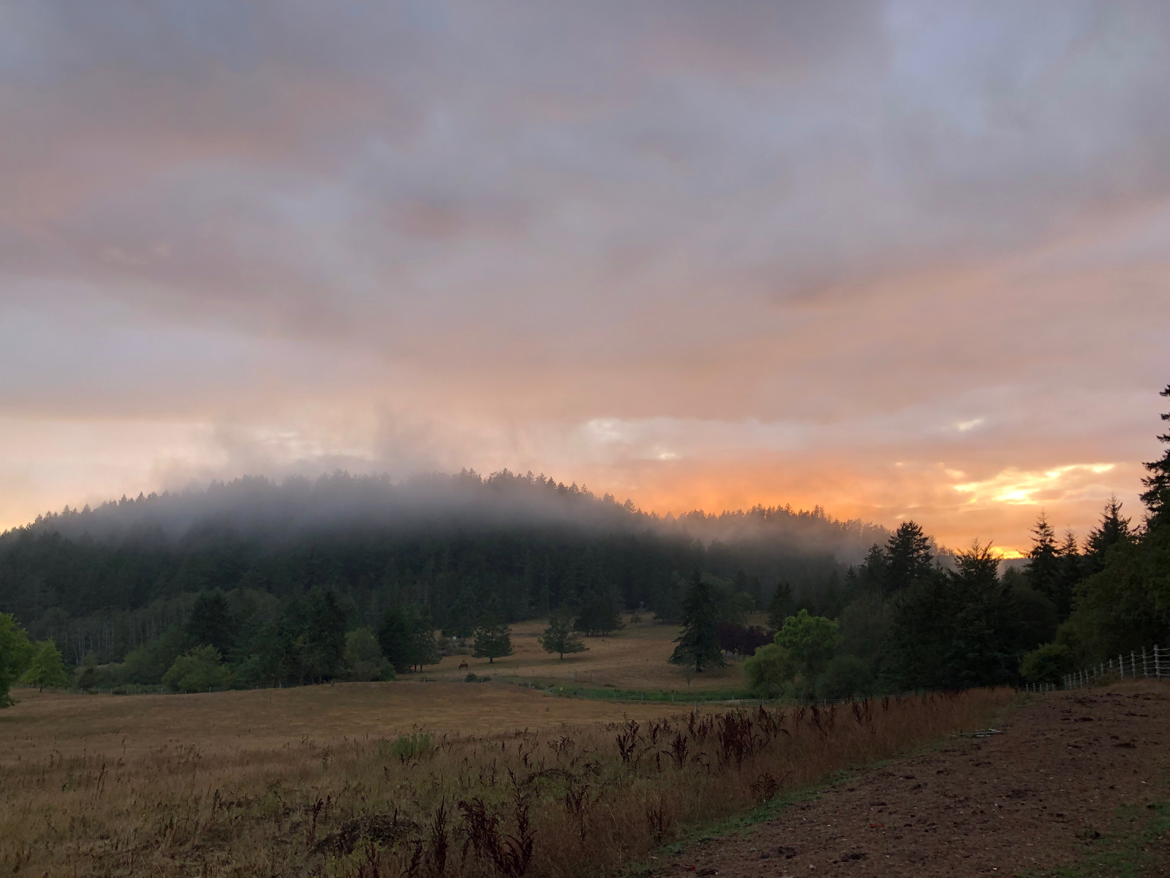 Slideshow image 8