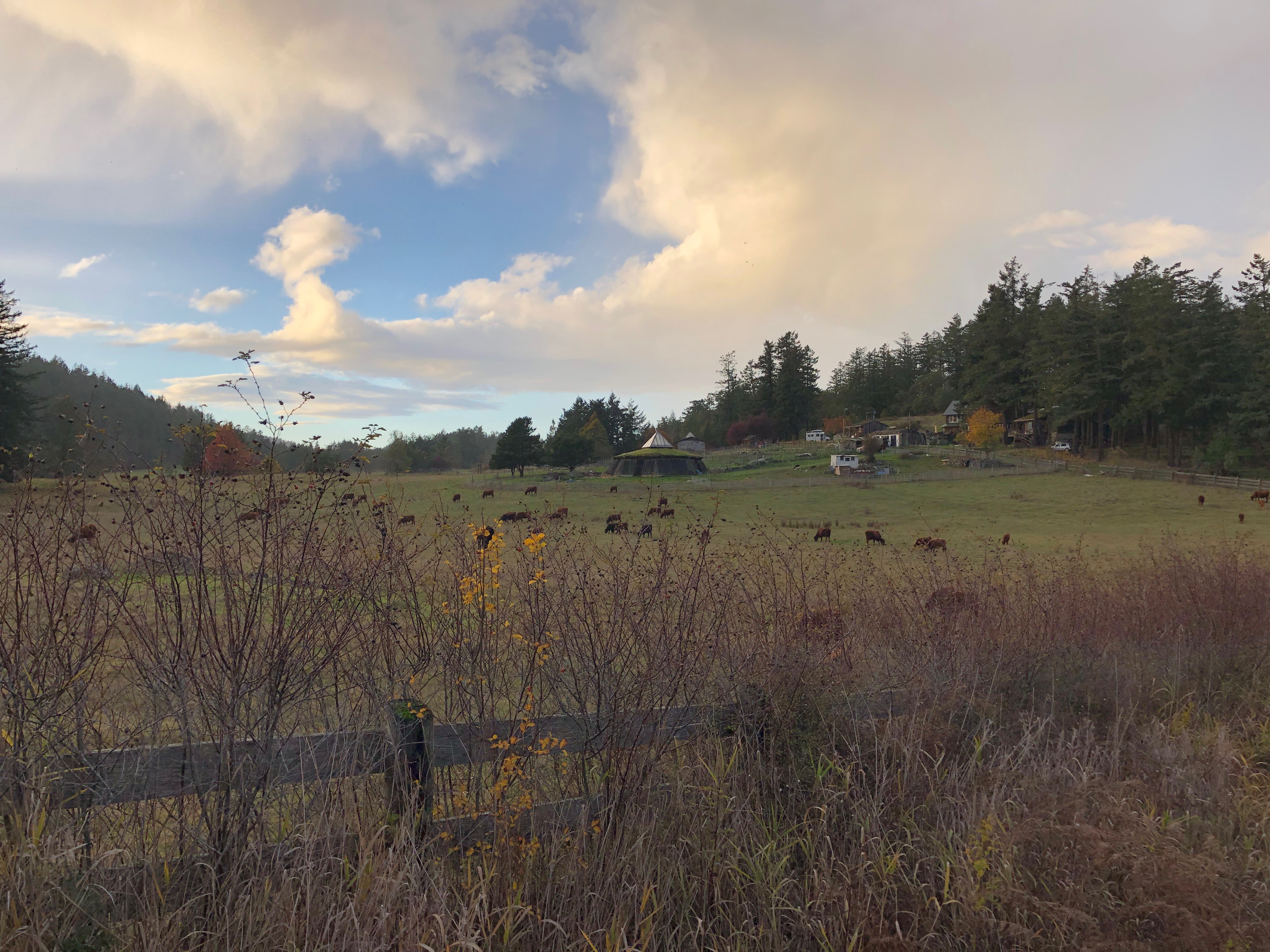Slideshow image 11