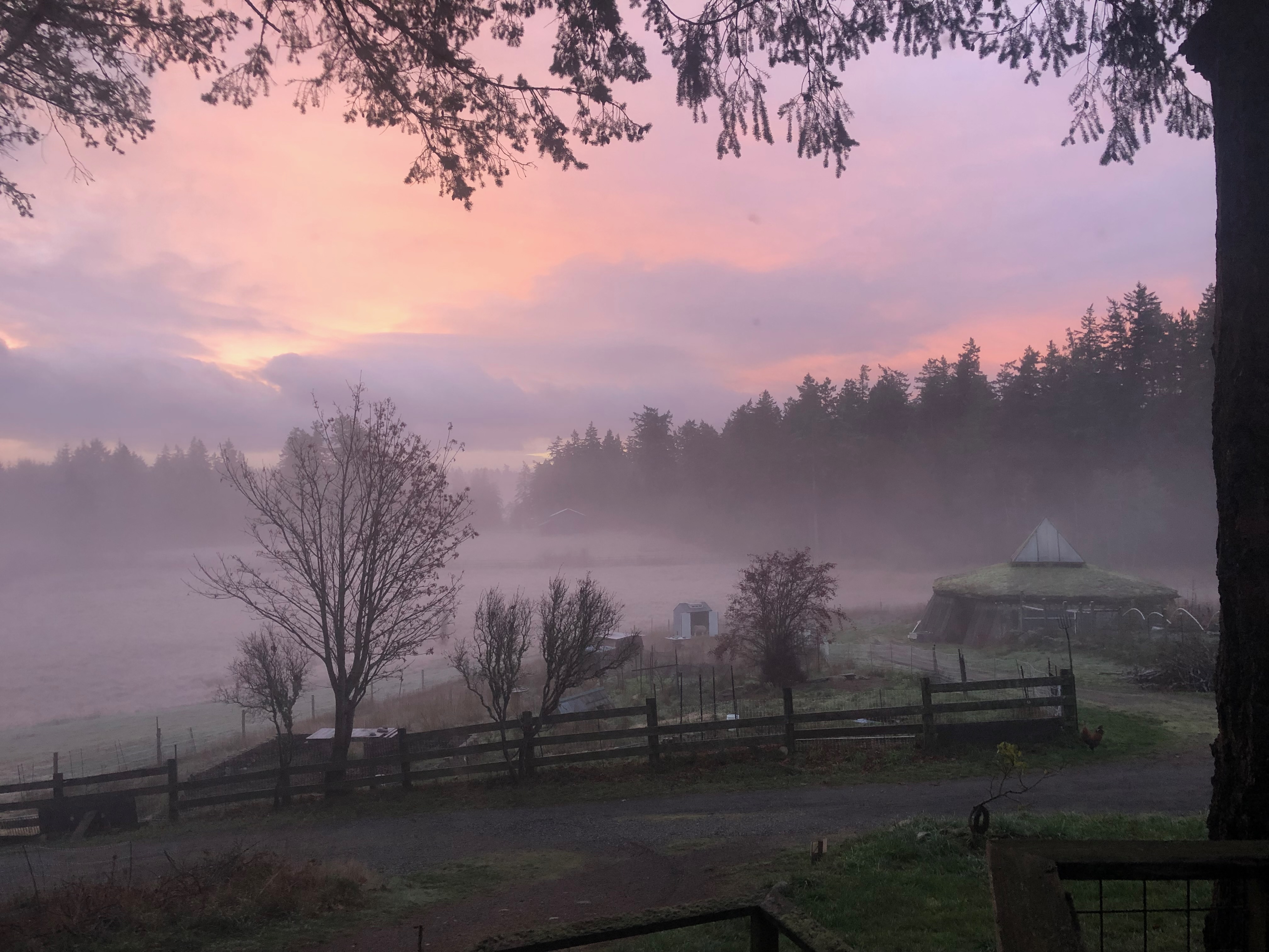 Slideshow image 15